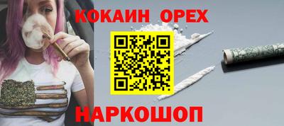 индика Будённовск