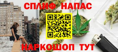 индика Будённовск