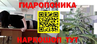 гидра Апрелевка