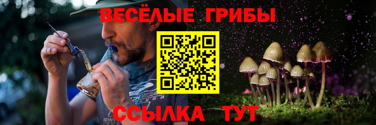 Псилоцибиновые грибы Psilocybe  Зеленокумск  где можно купить наркотик  Псилоцибиновые грибы прущие грибы 