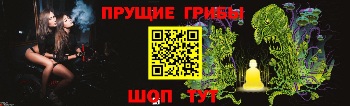Псилоцибиновые грибы GOLDEN TEACHER  Вход с VPN  купить  цена  Зеленокумск 